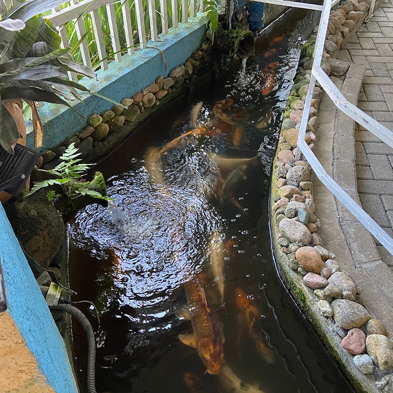 Salão Térreo MinanaFest - Vista geral do espaço com brinquedos